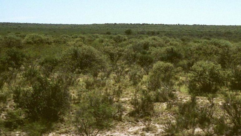 Planean la primera ecoaldea en Neuquén