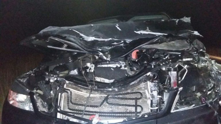 Viajaban hacia San Martín de los Andes y chocaron contra un ciervo