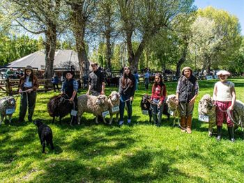 Docentes representantes de escuelas agrotécnicas participan del curso introductorio previo a la edición 2026. Foto: SRN