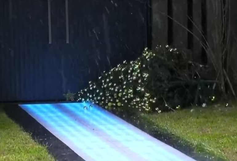 El viento derrumbó el árbol de Navidad del Gran Hermano. El viento derrumbó el árbol de Navidad del Gran Hermano.