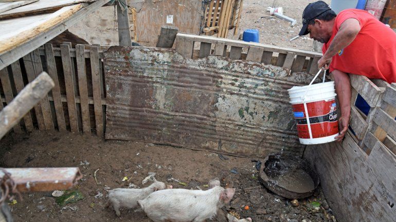 La mitad de las familias que padecen la falta de agua viven en Colonia Nueva Esperanza. Todos los años estos neuquinos sufren por lo mismo.