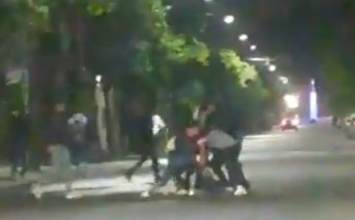 Robo piraña: 20 delincuentes asaltaron y golpearon a dos hombres