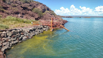 Las algas se multiplican en el embalse del Chocón