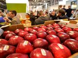 En la última Fruit Logistica, realizada en Berlín, algunos empresarios del sector mostraron cierta cautela con la evlución que reflejaba el mercado de la manzana en la UE.&nbsp;