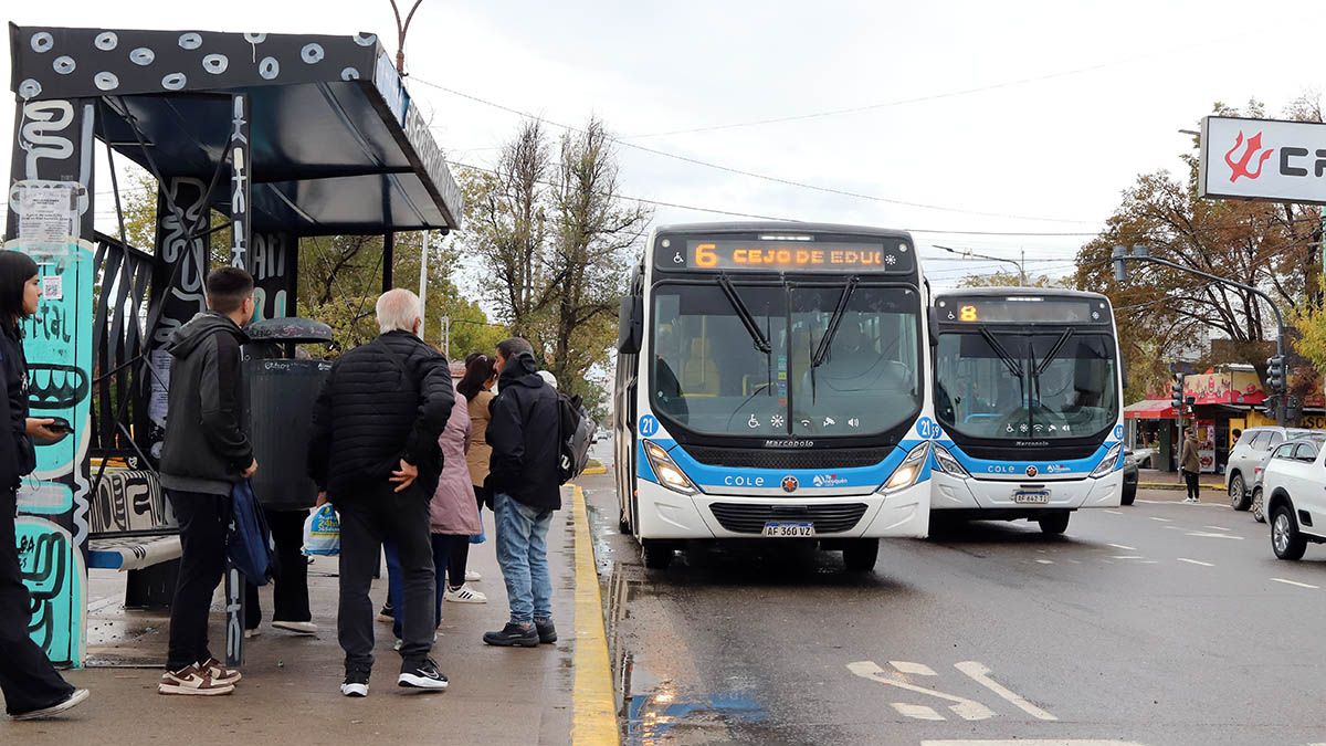 Paro de colectivos en todo el país: la decisión de la UTA en Neuquén