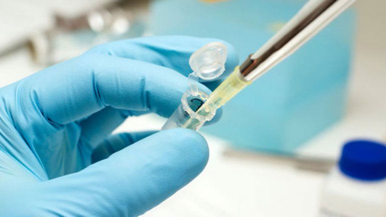 Un fármaco haría reducir fallas en la fertilización in vitro