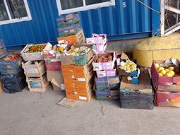 Los agentes del puesto sanitario descubrieron cajas con frutas ocultas debajo de bolsas de consorcio que contenían ropa. Los agentes del puesto sanitario descubrieron cajas con frutas ocultas debajo de bolsas de consorcio que contenían ropa.