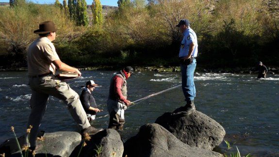 Decomisaron 200 kilos de piñones durante Semana Santa