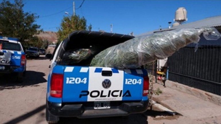 Fueron por un robo y dieron con marihuana