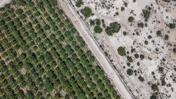Vista aérea de la región árida en la provincia de San Juan.Celina Mutti Lovera (Dialogue Earth) | LM Neuquen Vista aérea de la región árida en la provincia de San Juan.Celina Mutti Lovera (Dialogue Earth)