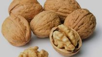 las nueces que se exportan desde la patagonia mas austral al mundo