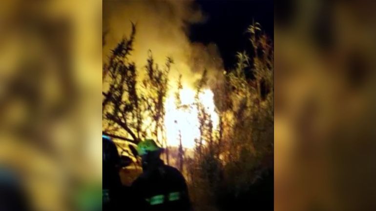 Voraz incendio durante la madrugada: aseguran que fue intencional