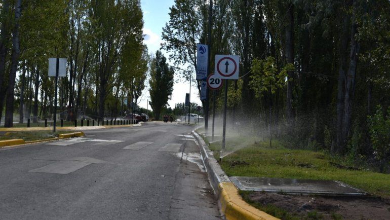 El vandalismo obliga a reponer hasta cinco aspersores en forma diaria