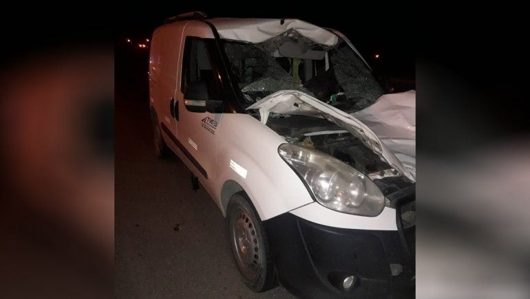 Tras chocar con un caballo: Los que ven la foto no saben cómo nos salvamos