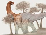 El dino gigante que habitó Río Negro: medía 30 metros y pesaba 50 mil kilos