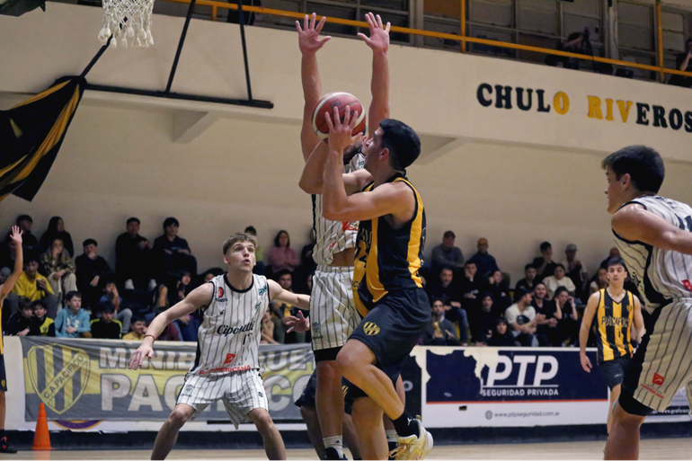 Foto: Omar Novoa Foto: Omar Novoa