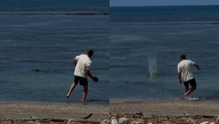 El video donde el turista le lanza una piedra a una foca fue registrado frente a la costa de Lahaina