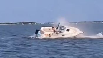 El cadáver de la ballena quedó varado sobre un banco de arena en aguas poco profundas. El cadáver de la ballena quedó varado sobre un banco de arena en aguas poco profundas.