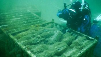 flor del prado: de la cosecha nocturna a la crianza submarina de vinos flor del prado: de la cosecha nocturna a la crianza submarina de vinos