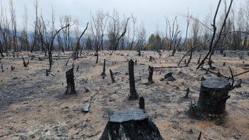 tras aplacar el incendio, asi quedo la comarca andina tras aplacar el incendio, asi quedo la comarca andina