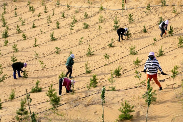 Mapa satelital revela expansión forestal en China: +226 mil km² de bosques entre 2001-2020, alterando evapotranspiración en +1.71 mm/año. Mapa satelital revela expansión forestal en China: +226 mil km² de bosques entre 2001-2020, alterando evapotranspiración en +1.71 mm/año.
