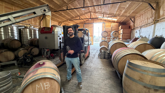 Dominio de Freneza: Vinos profundos a pequeña escala desde Río Negro