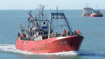 Descarte ilegal: barcos arrojan toneladas de merluza al mar para priorizar el calamar por su valor. | LM Neuquen Descarte ilegal: barcos arrojan toneladas de merluza al mar para priorizar el calamar por su valor.