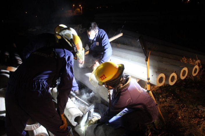 El perro resultó ileso. Son varios los rescates de animales que tienen que realizar los bomberos de Cenetenario.