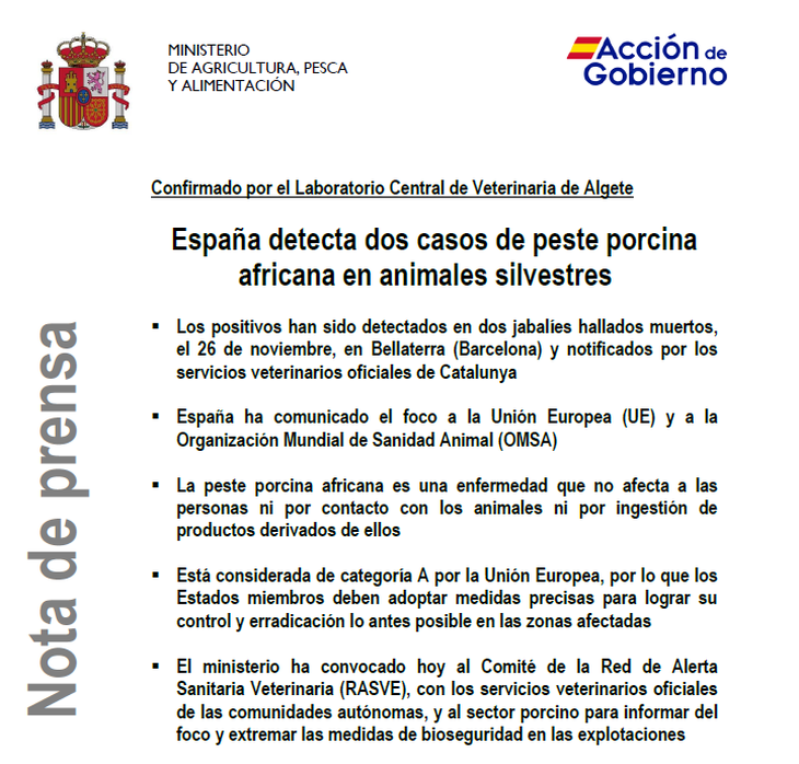 Dos jabal&iacute;es muertos en Barcelona: el regreso letal de la PPA tras 31 a&ntilde;os de alerta dormida.