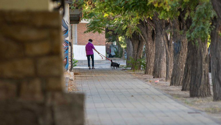 Viveza: violan la cuarentena con la vuelta del perro