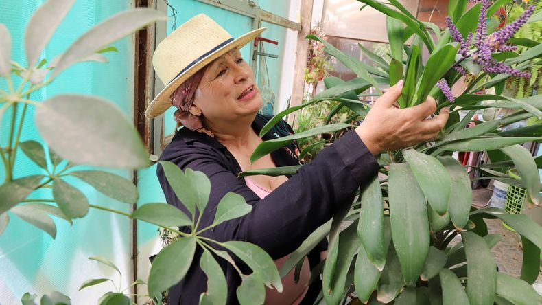 Marité Berbel: la voz de Neuquén que superó el cáncer y volvió a cantar | LM Neuquen Marité Berbel: la voz de Neuquén que superó el cáncer y volvió a cantar