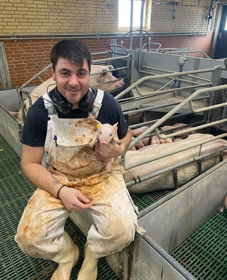 Ni bien llegó a Dinamarca Mauro consiguió trabajo en una granja ubicada en Christiansfeld en donde se dedicó a la gestación e inseminación de cerdos.