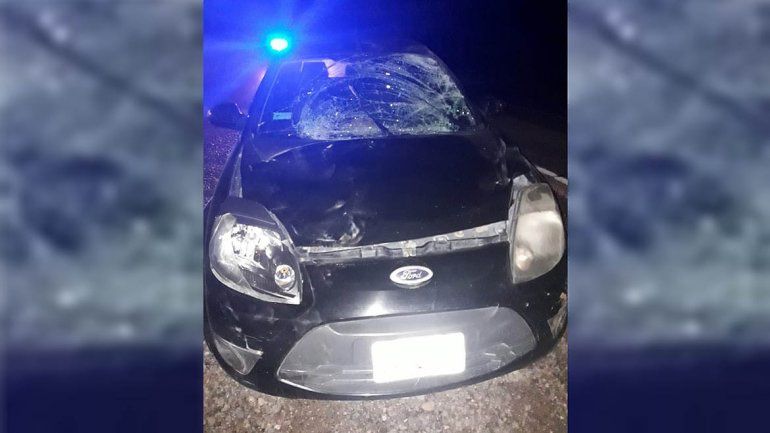 Se le cruzó un caballo en la Ruta 151 y se salvó de milagro