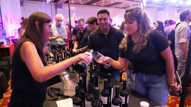 Comenzó una nueva edición de la Vendimia Neuquina. | LM Neuquen Comenzó una nueva edición de la Vendimia Neuquina.