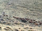 “Las montañas están negras, porque no hubo nieve en la cordillera”, dice Cecilia de Larminat. Foto: Fabricio González.