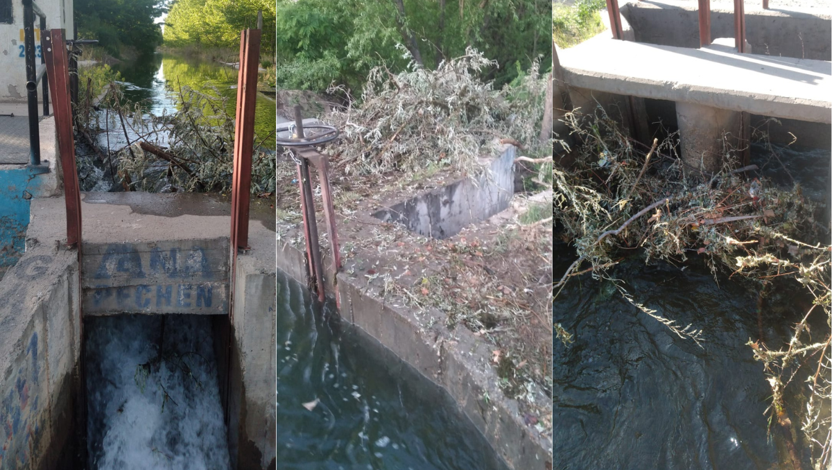 Grave denuncia por obstrucciones en los canales de riego de Vista Alegre.