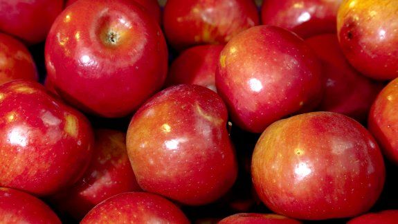 Brasil prohibió el ingreso de fruta del Alto Valle por Carpocapsa