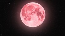 La Luna llena del 1° de abril coincide con el inicio del mes y marca una referencia clara dentro del ciclo lunar. La Luna llena del 1° de abril coincide con el inicio del mes y marca una referencia clara dentro del ciclo lunar.