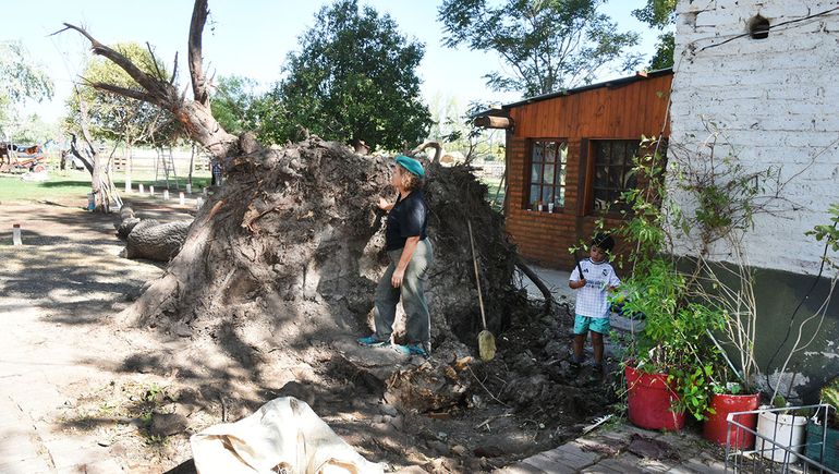 El desgarrador video de la Granja Bataraza tras el temporal que despertó la solidaridad de un pueblo
