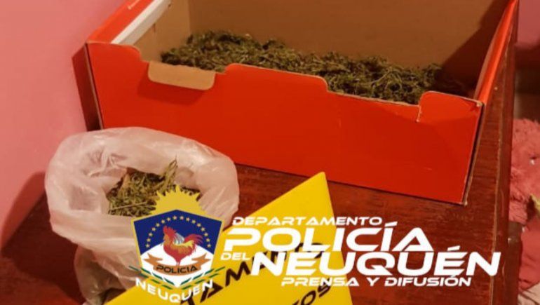 En los allanamientos la Policía secuestró un arma de fuego y una importante cantidad de marihuana.