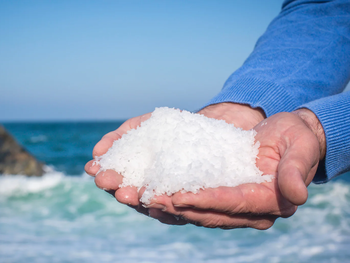 sal marina argentina: la excelencia mineral de la patagonia