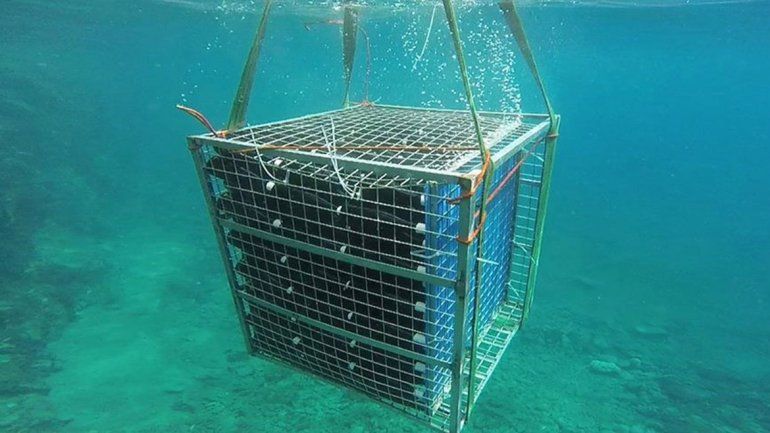 Una bodega bajo el mar