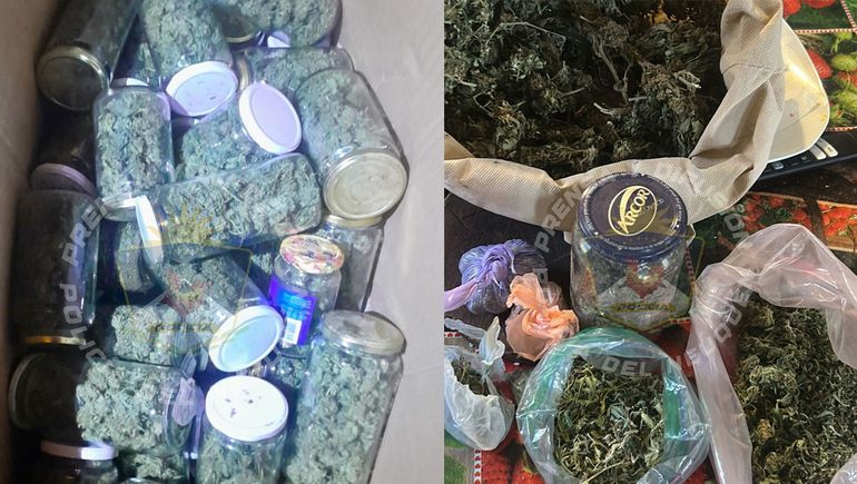 Fueron por el robo de ropa y encontraron casi 4 kilos de cogollos de marihuana