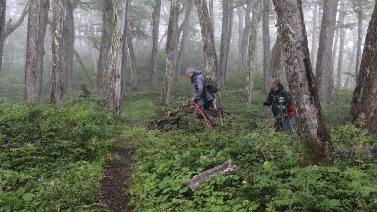 Tras los pasos de Neruda en San Martín