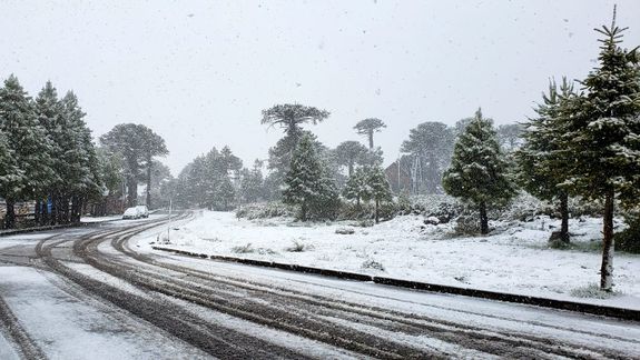 Ola de calor y nieve: ¿son consecuencia del cambio climático?