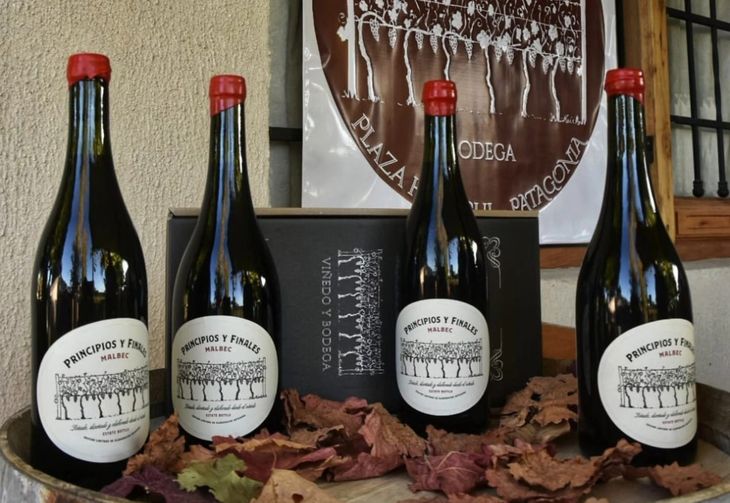 El sistema field blend reúne Malbec, Cabernet Sauvignon, Cabernet Franc, Merlot, Petit Verdot y Syrah en una misma parcela, definiendo el vino desde el origen. El sistema field blend reúne Malbec, Cabernet Sauvignon, Cabernet Franc, Merlot, Petit Verdot y Syrah en una misma parcela, definiendo el vino desde el origen.