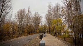 Frío y último día de otoño para la llegada del invierno en Neuquén.