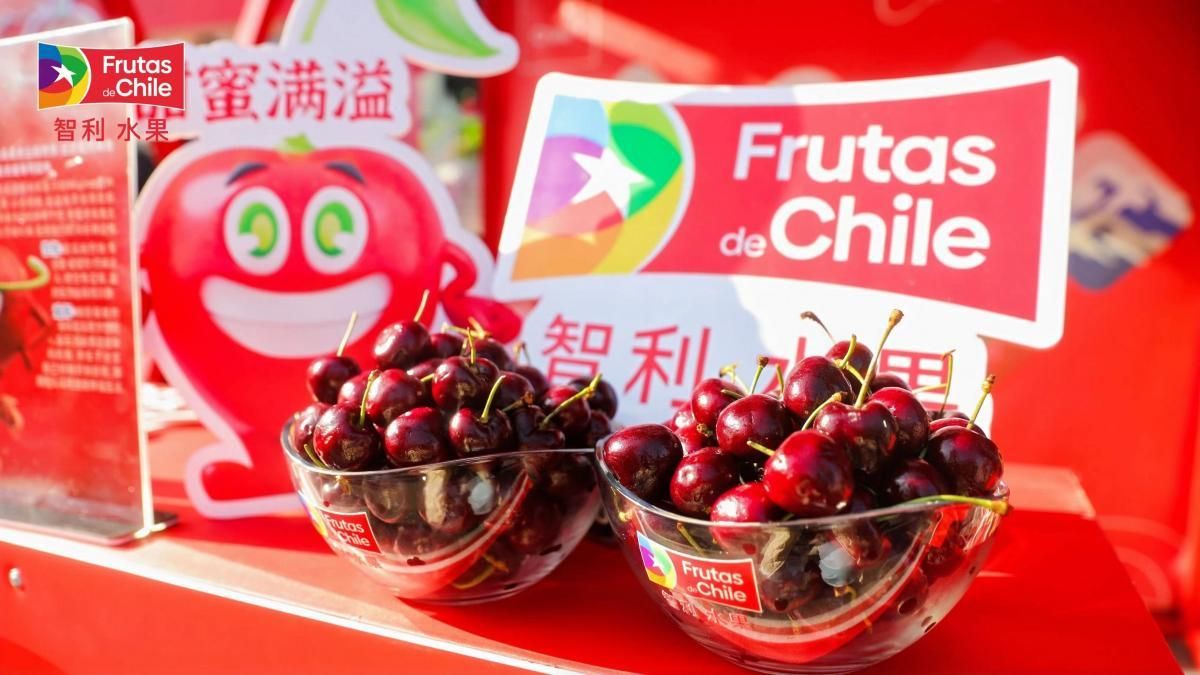 Los contenedores de cerezas chilenas siguen varados en Nansha