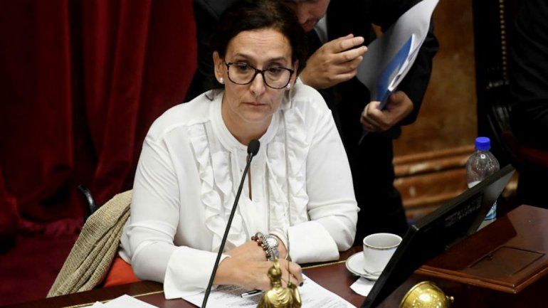Michetti confirmó que votaría en contra de la despenalización.