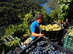 la agricultura de espana bate records: el 26% de sus trabajadores son extranjeros
